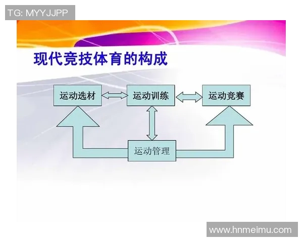 竞技体育在现代社会中的价值与意义探析：促进身心健康与社会发展的多维作用
