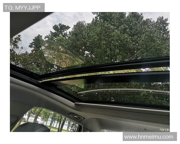 武汉极限运动队灵活性分析及其对比研究探讨