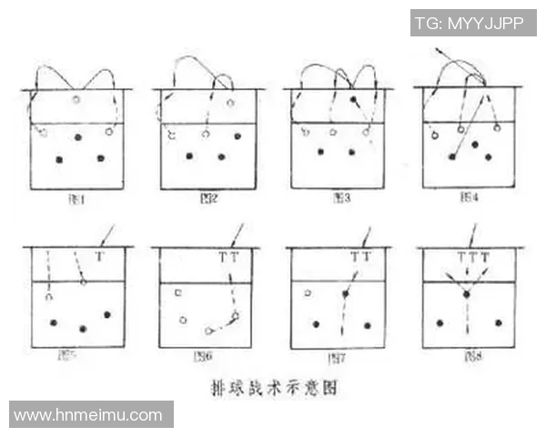深圳排球队的战术解析与控制能力深度剖析
