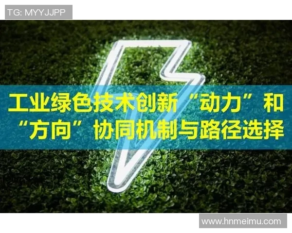 赛事组织创新与管理策略探索：提升赛事效果与观众体验的实践路径